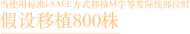 800グラフト移植した場合