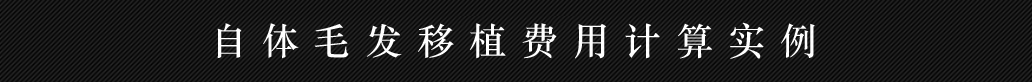 自毛植毛費用シミュレーション