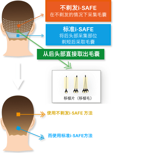 科学的根拠に基づいたデザイン