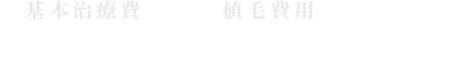 基本治療費+植毛費用