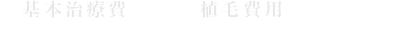 基本治療費+植毛費用