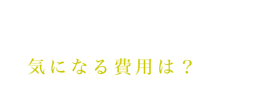 アスク井上クリニックのハイブリッド自毛植毛《 i-SAFE 》気になる費用は？