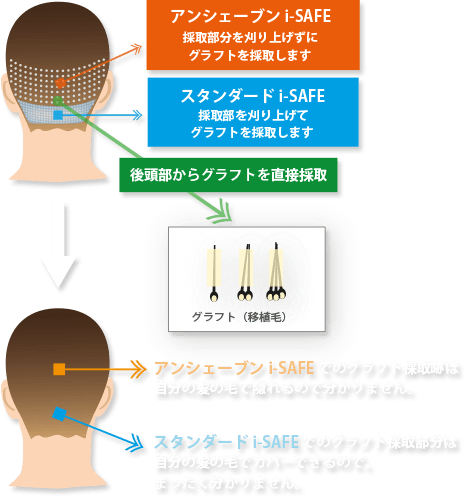 科学的根拠に基づいたデザイン