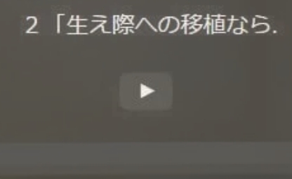 独自のこだわりはありますか？