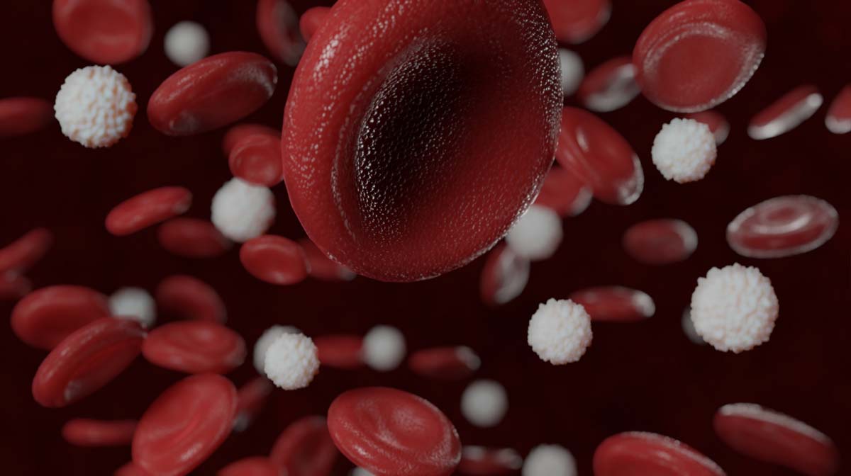 PRP（Platelet-Rich Plasma）