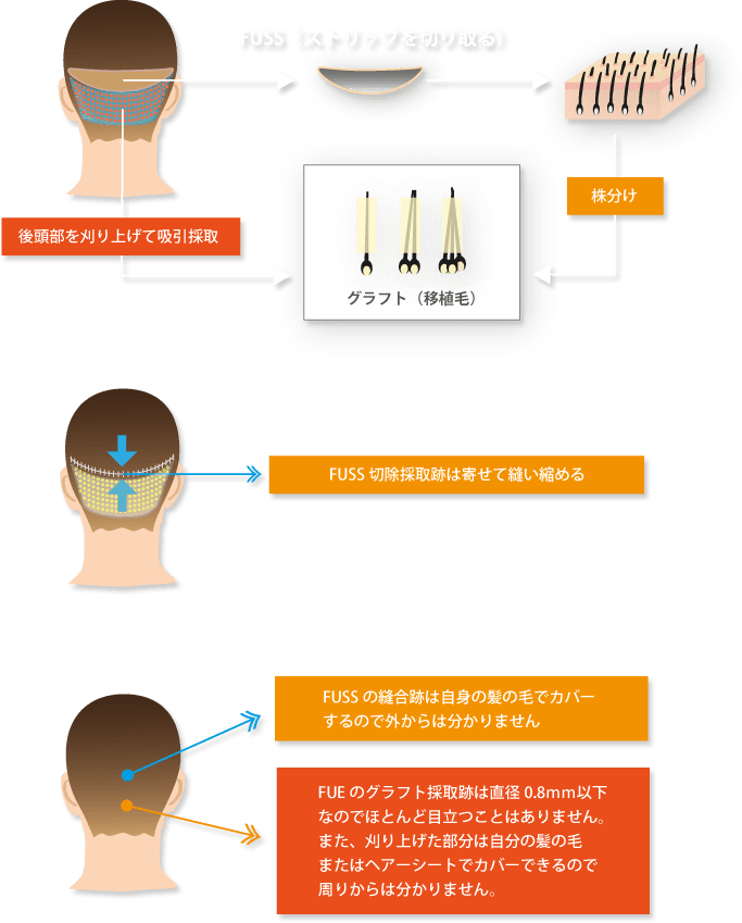 科学的根拠に基づいたデザイン