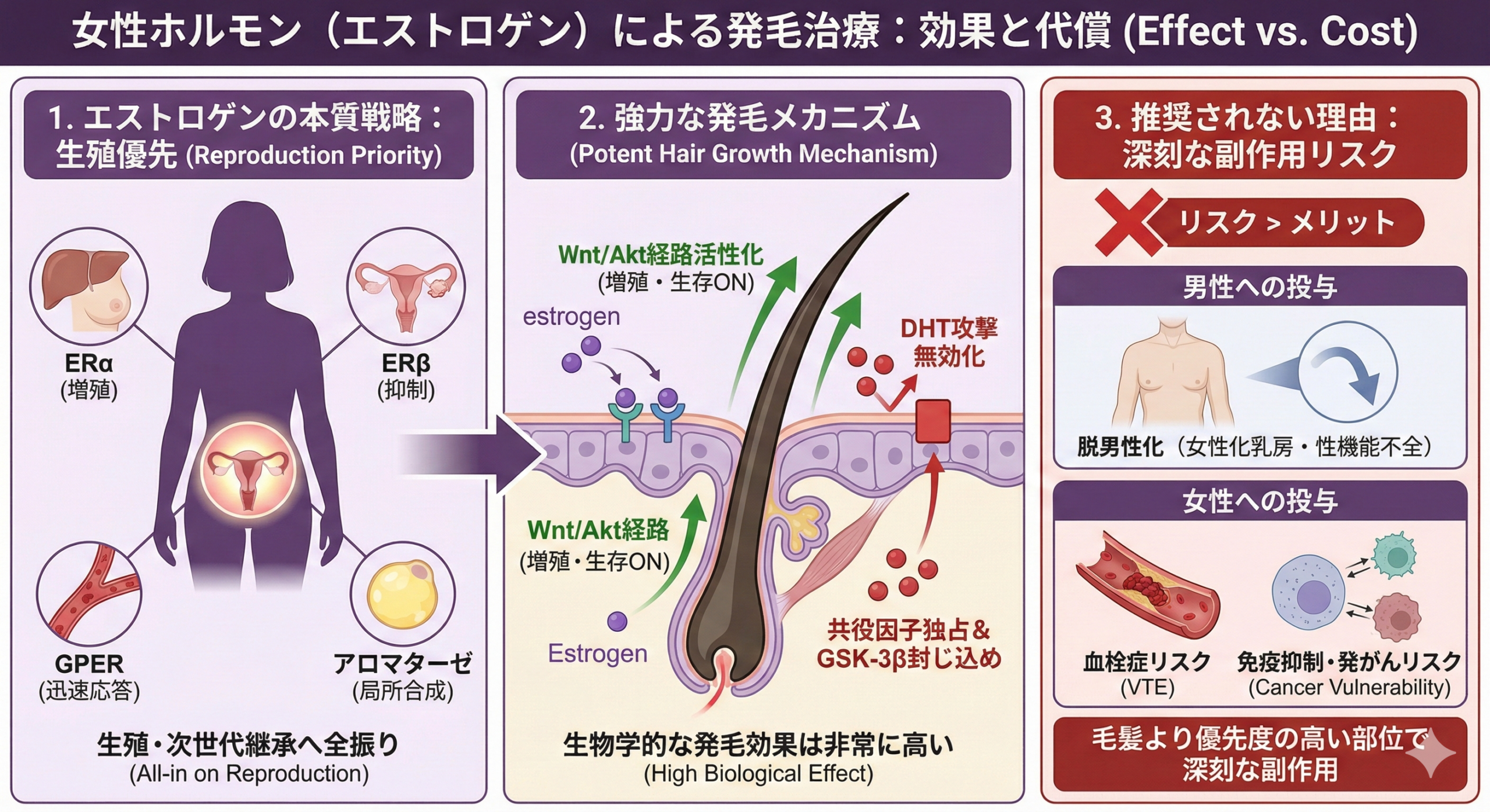 女性ホルモンによる発毛治療：効果とその代償