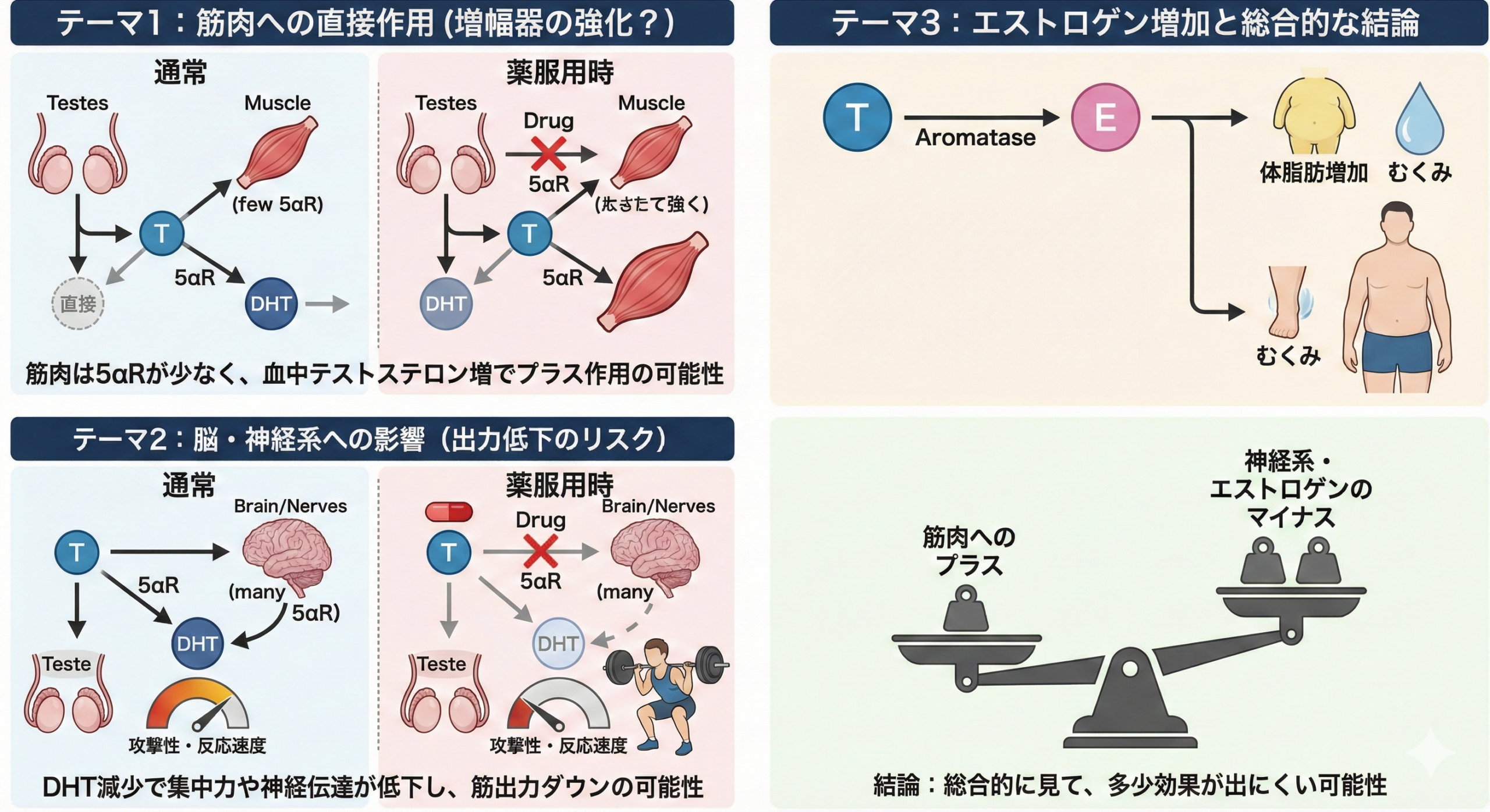 まとめ：筋トレとミノキシジル